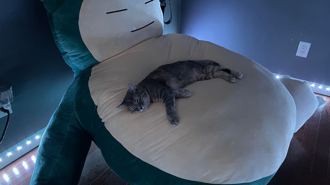 Gray tabby cat sleeping sprawled on the belly of a giant Snorlax plush